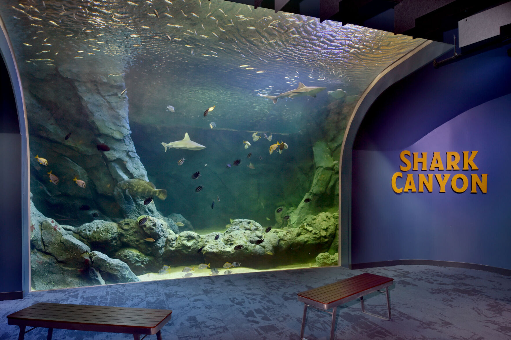 012 Aquarium Areas Jan_ 20201.jpg